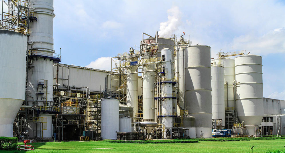 烟道草莓视频下载黄色